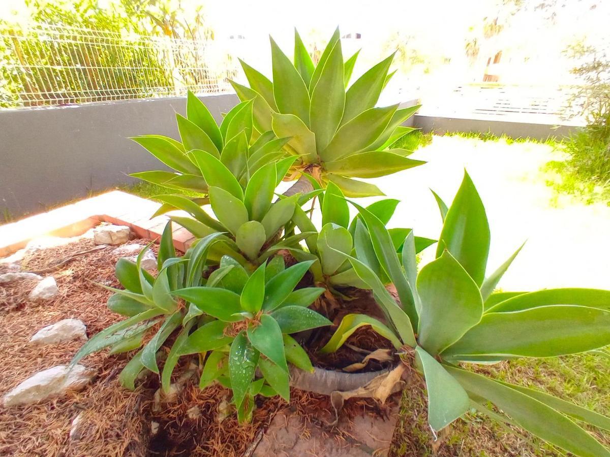 הוילה Sesimbra Charming Pool Duplex Bbk & Garden מראה חיצוני תמונה